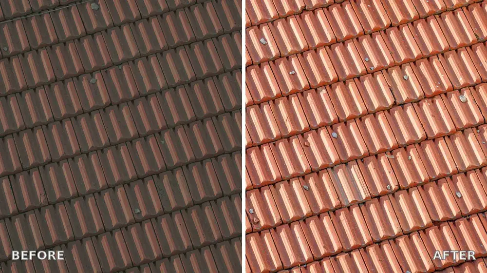 Roof soft washing before and after